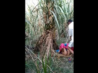 Desi Bhabhi Ko Uske Padosi Ne Khet Mein Choda
